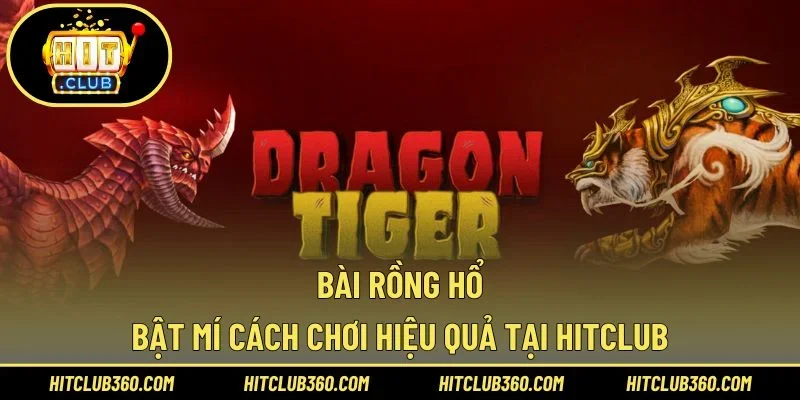 Bài Rồng Hổ – Bật Mí Cách Chơi Hiệu Quả Tại Hitclub