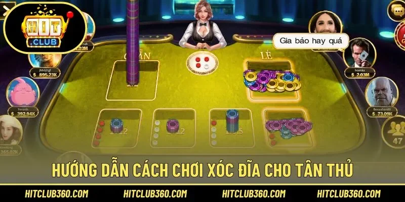 Chia sẻ cách chơi Xóc Đĩa cơ bản mới nhất