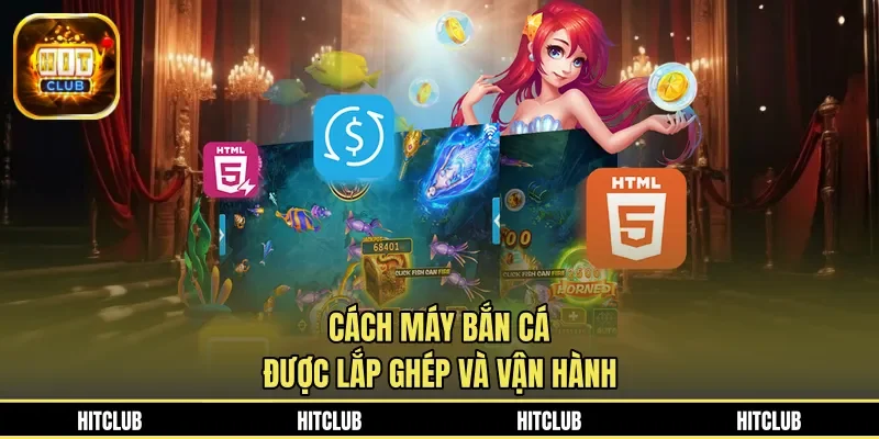 Cách máy bắn cá được lắp ghép và vận hành