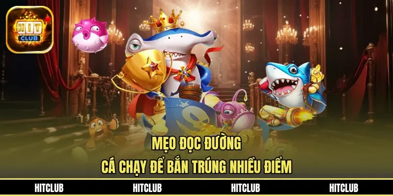 Mẹo đọc đường cá chạy để bắn trúng nhiều điểm