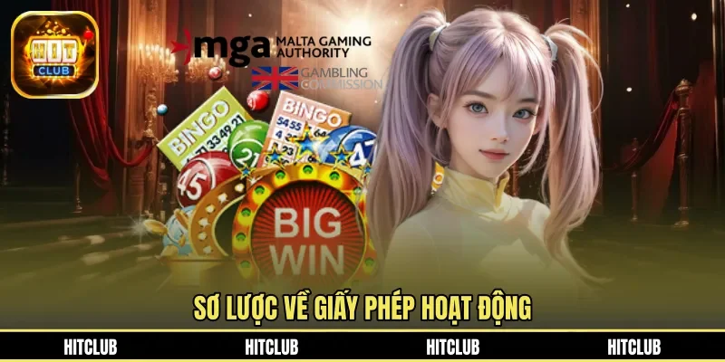 Sơ lược về giấy phép hoạt động