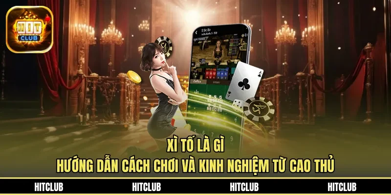 Xì Tố Là Gì? Hướng Dẫn Cách Chơi Và Kinh Nghiệm Từ Cao Thủ